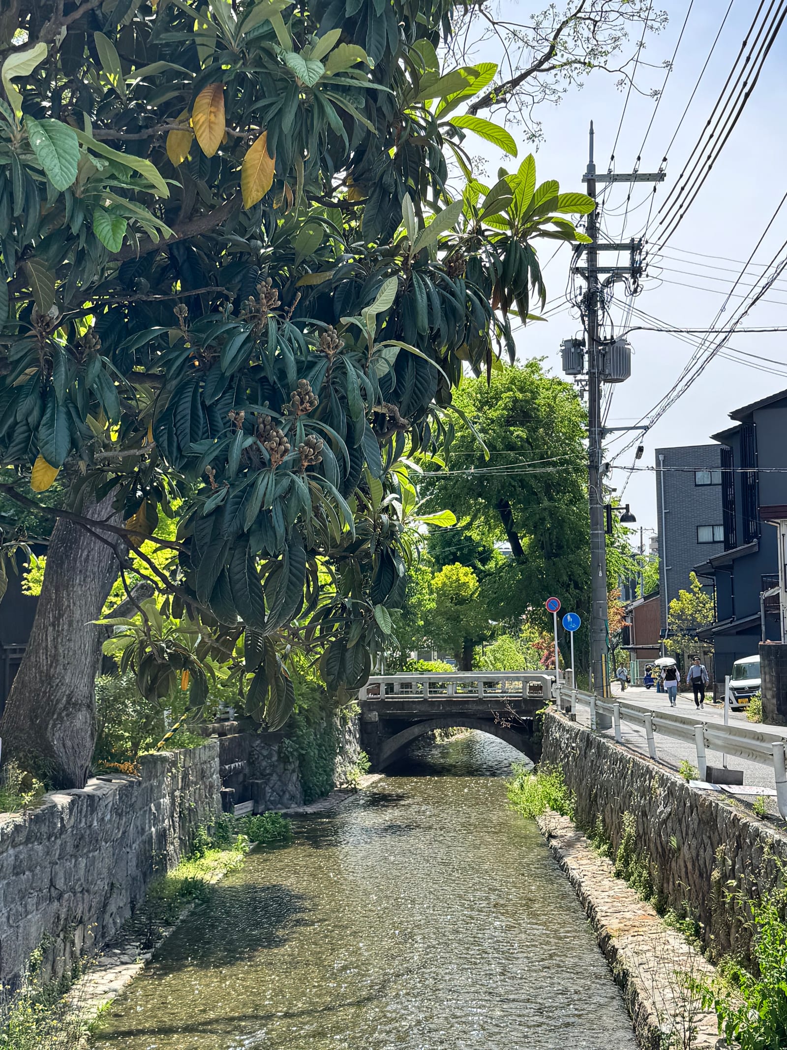 카페에서 나오니 우중충했던 날씨가 밝아져 있었다